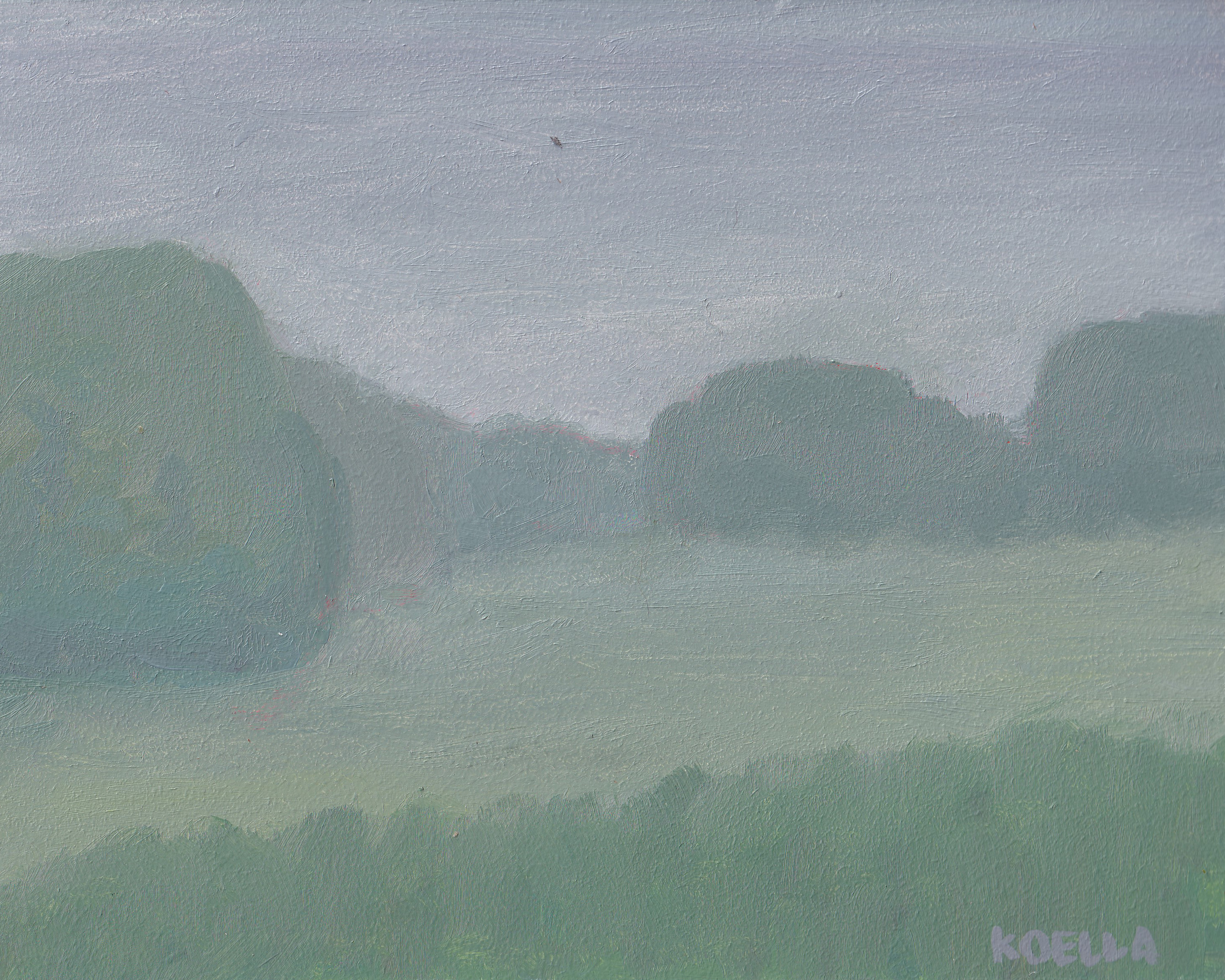 Misty Morning