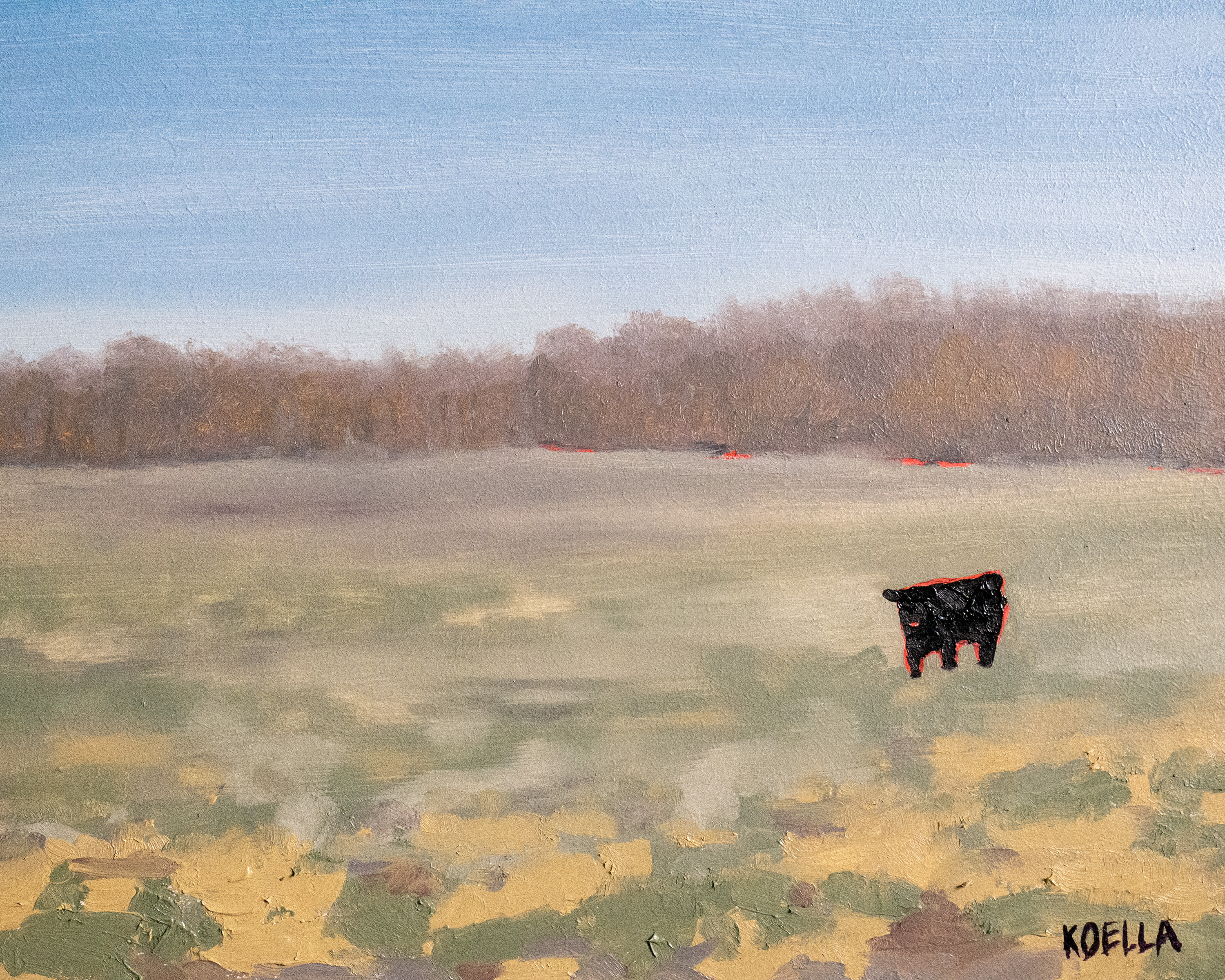 Winter Coo.
